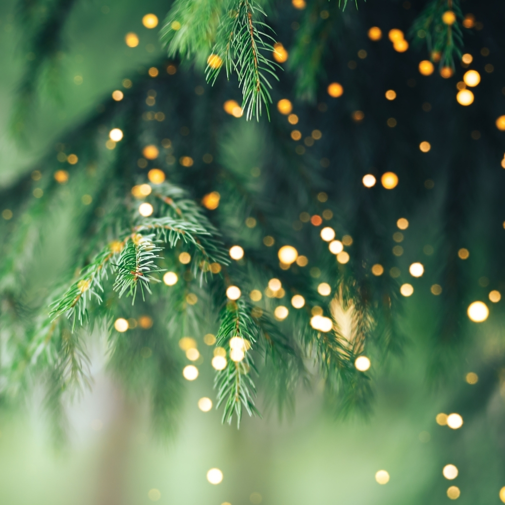 Mettet XMas - Ne manquez pas le week-end le plus magique de l'hiver avec Mettet XMas